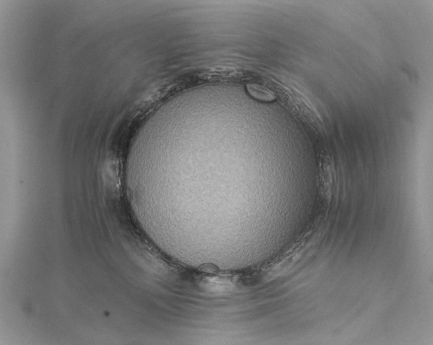 X0000115510232200911201645