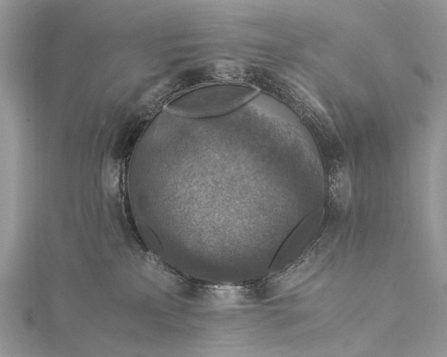 X0000115510233200911201645