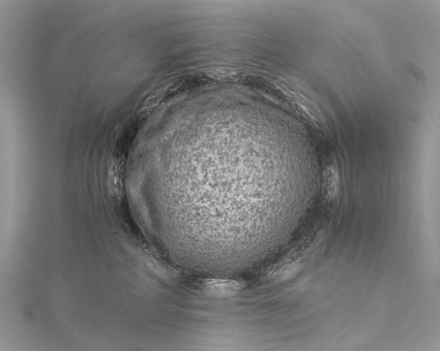 X0000115510234200911201645