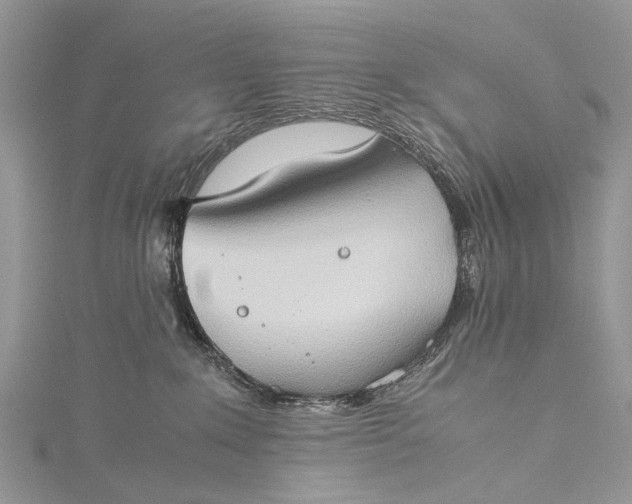 X0000115510235200911201645