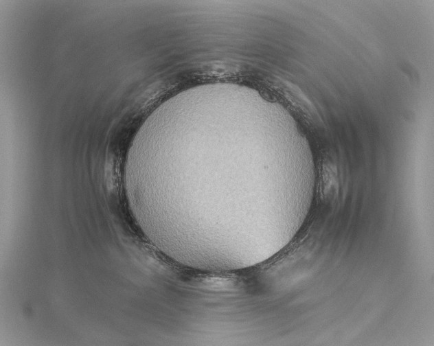 X0000115510236200911201645