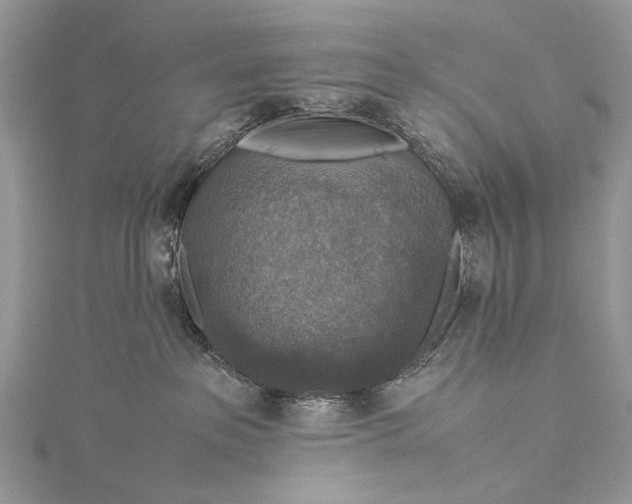 X0000115510237200911201645