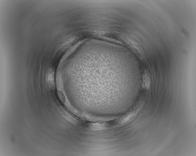 X0000115510238200911201645