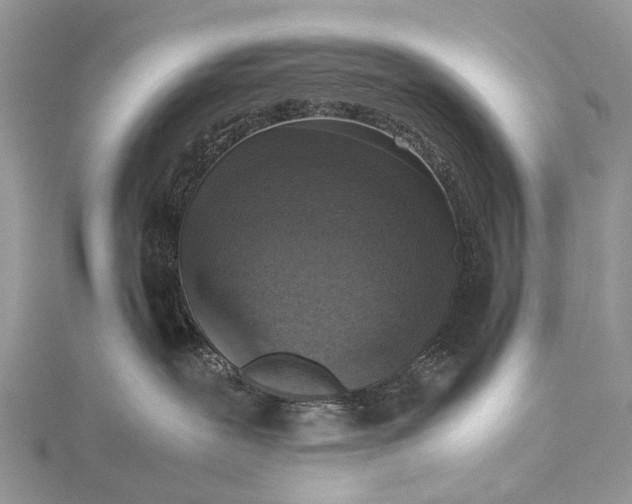 X0000115510239200911201645