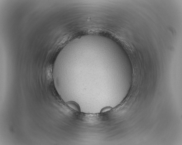 X0000115510240200911201645