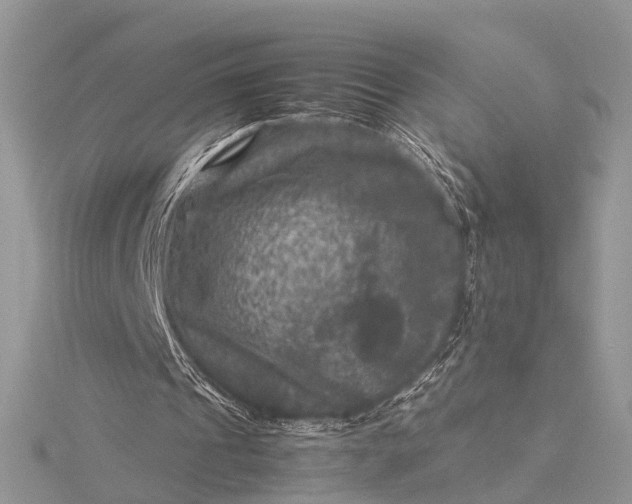 X0000115510241200911201644