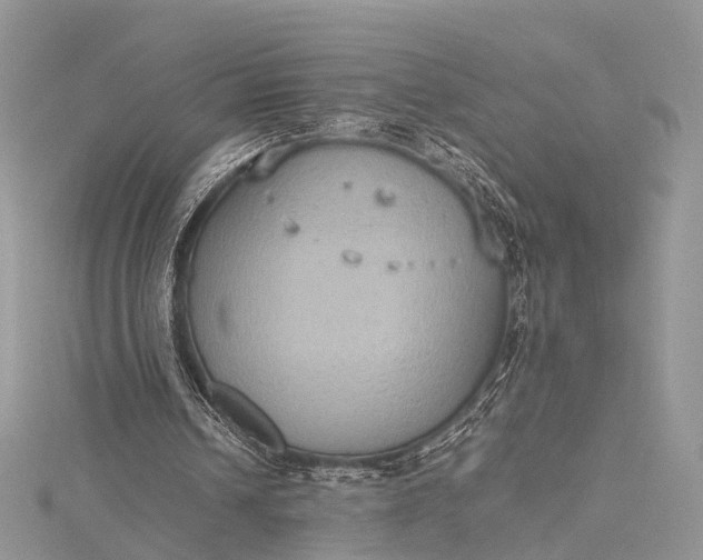 X0000115510242200911201644