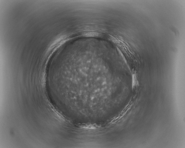 X0000115510243200911201644