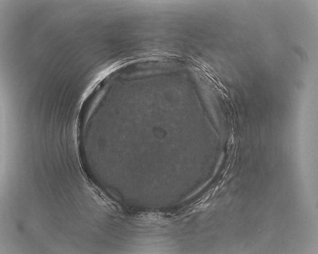 X0000115510244200911201644