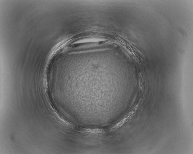 X0000115510245200911201644