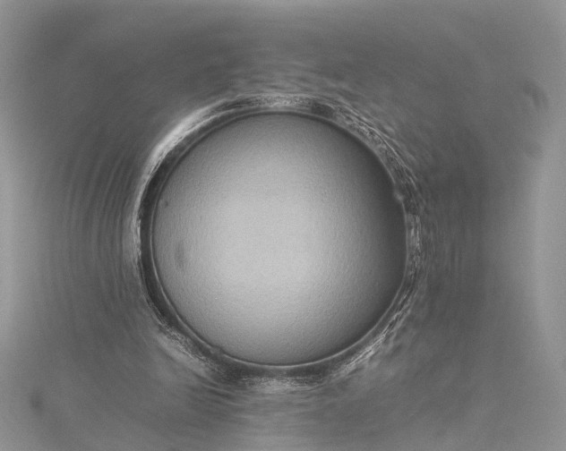 X0000115510246200911201644