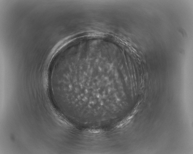 X0000115510247200911201644