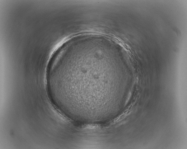 X0000115510248200911201644