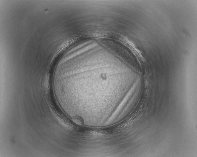 X0000115510250200911201644