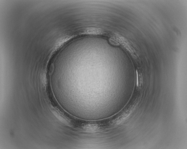 X0000115510252200911201644