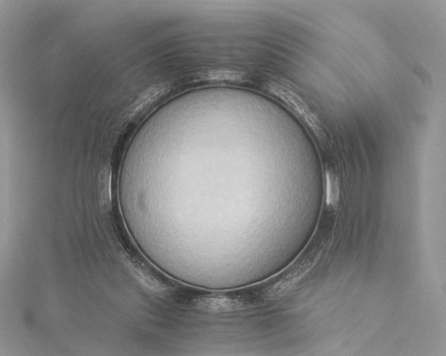 X0000115510253200911201644