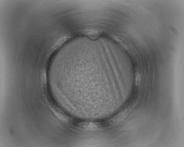 X0000115510254200911201644