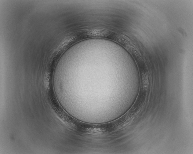 X0000115510255200911201644