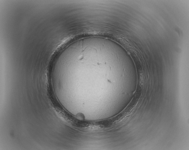 X0000115510256200911201644