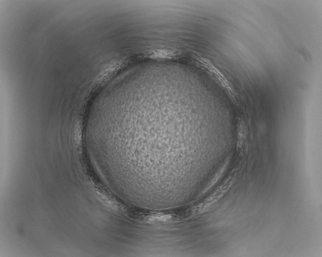 X0000115510257200911201644