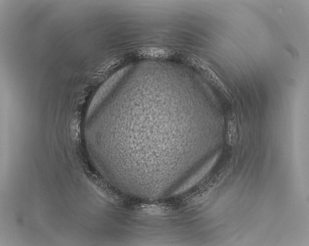 X0000115510259200911201644