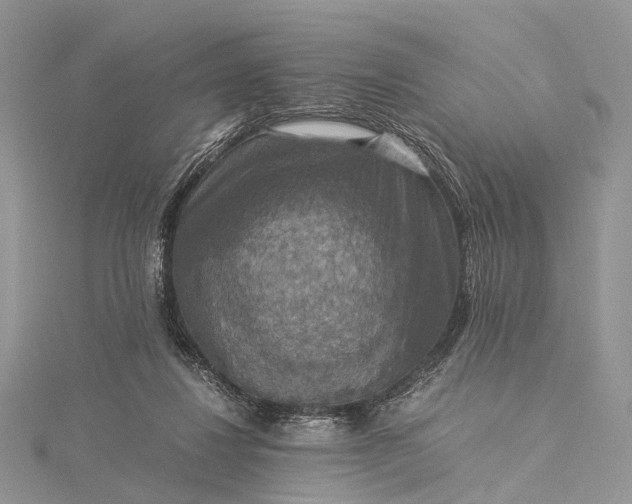 X0000115510260200911201644