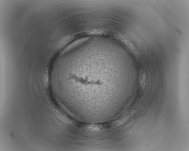 X0000115510261200911201644