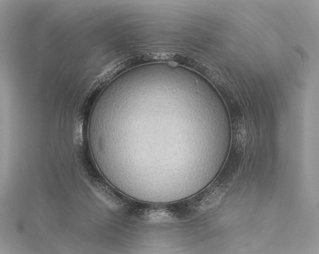 X0000115510262200911201644