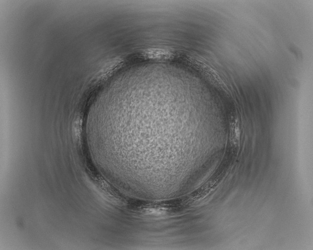 X0000115510263200911201644