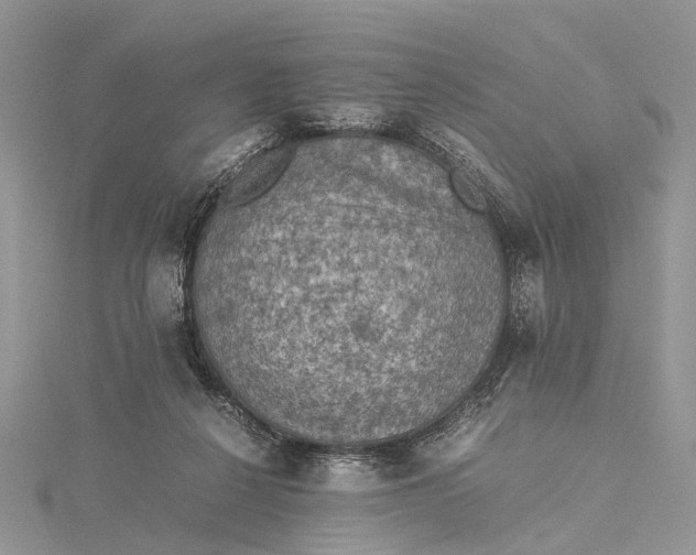 X0000115510264200911201644