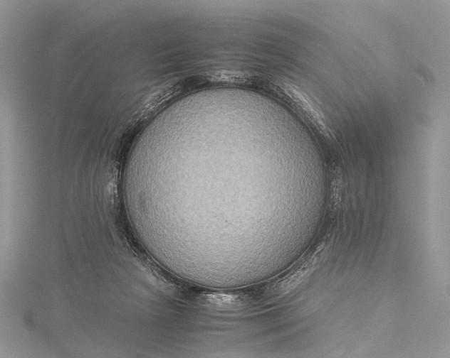 X0000115510265200911201644