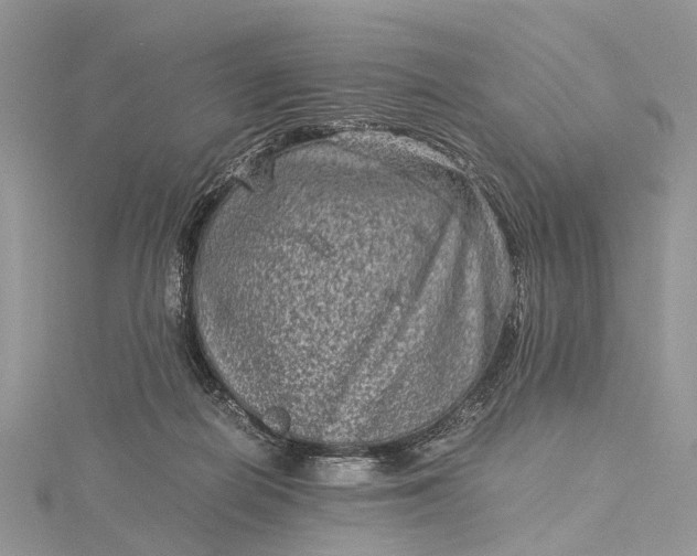 X0000115510266200911201644