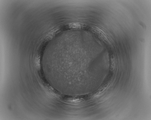 X0000115510267200911201644