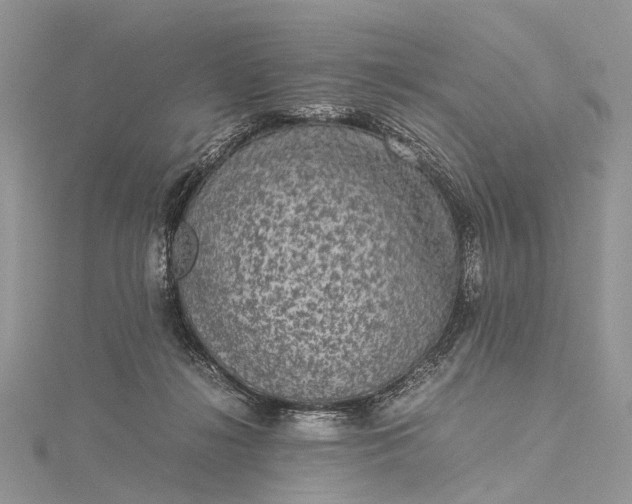 X0000115510268200911201644