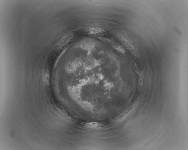 X0000115510269200911201644