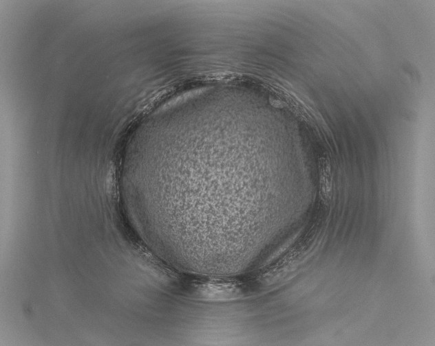 X0000115510270200911201644