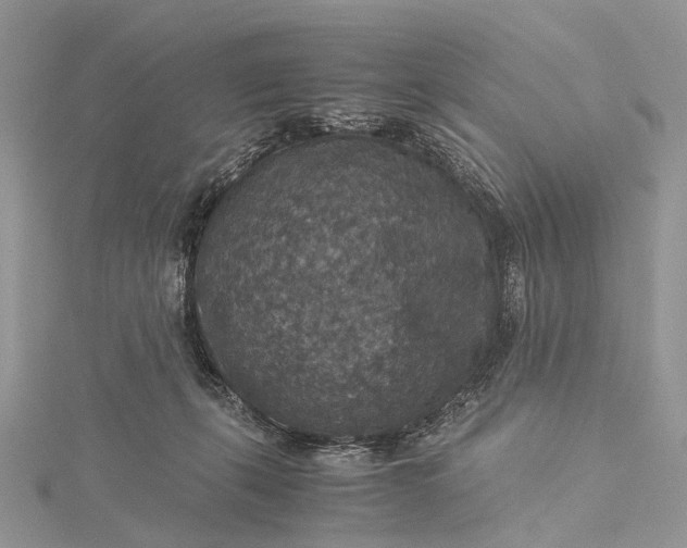 X0000115510271200911201644