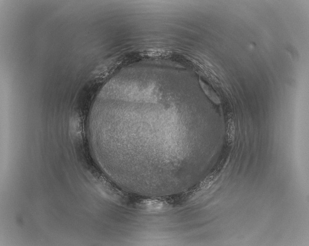 X0000115510272200911201644