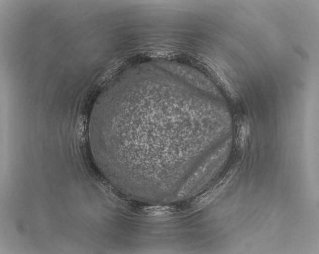 X0000115510273200911201645