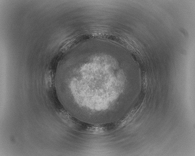 X0000115510276200911201645