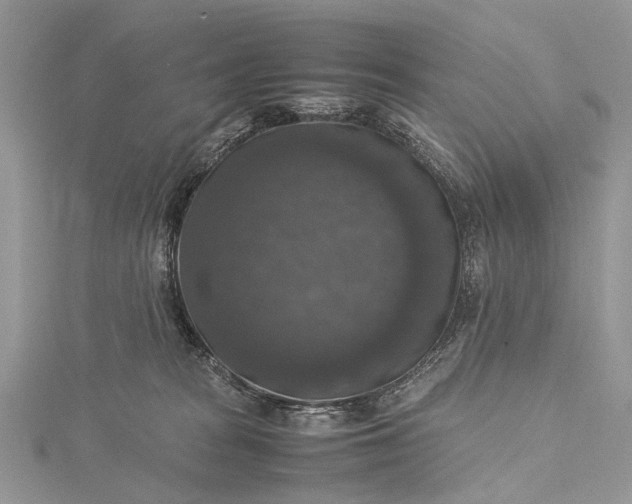 X0000115510277200911201645