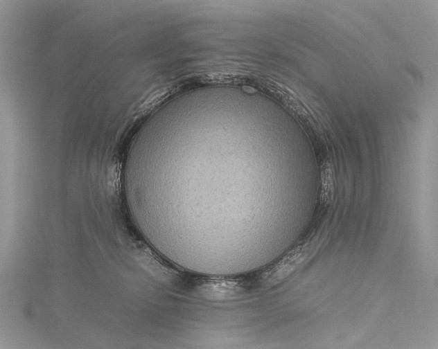 X0000115510278200911201645