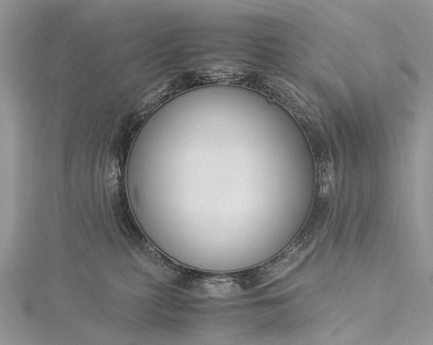 X0000115510279200911201645