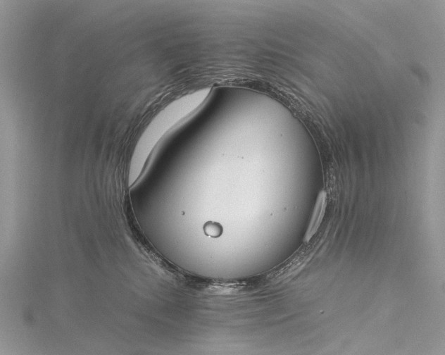 X0000115510280200911201645