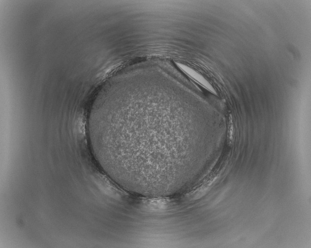 X0000115510282200911201645