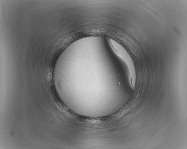 X0000115510284200911201645