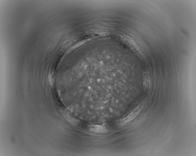 X0000115510285200911201645