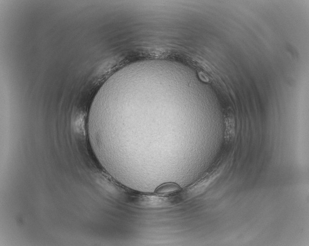 X0000115510286200911201645