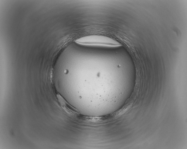 X0000115510288200911201645