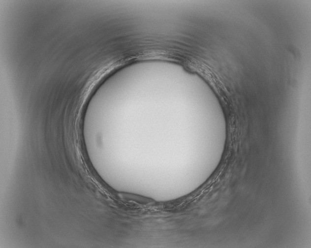 X0000115510289200911201644